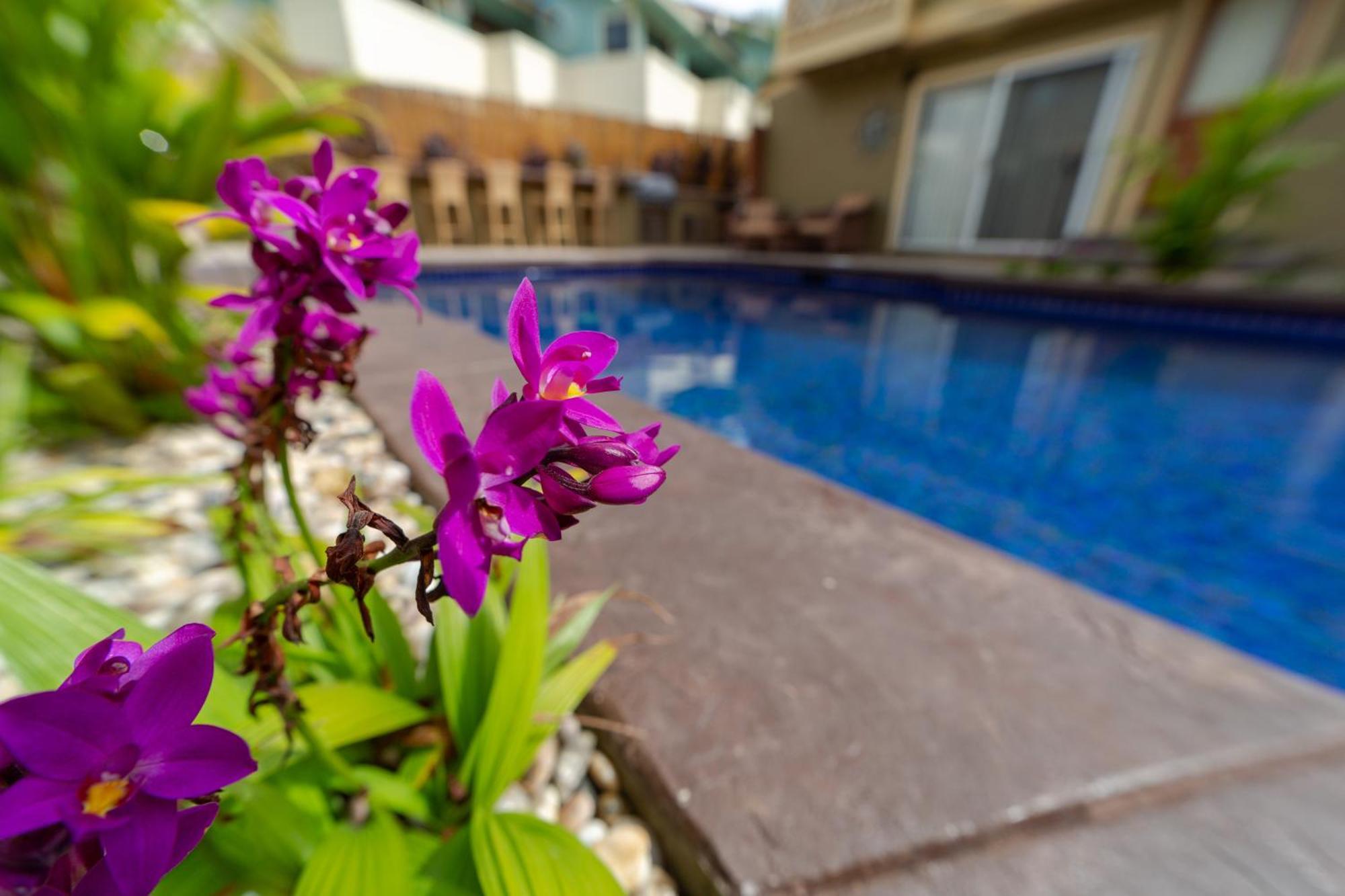 Gardenia Suite Located Across From Beach In A Boutique Property Kihei Dış mekan fotoğraf