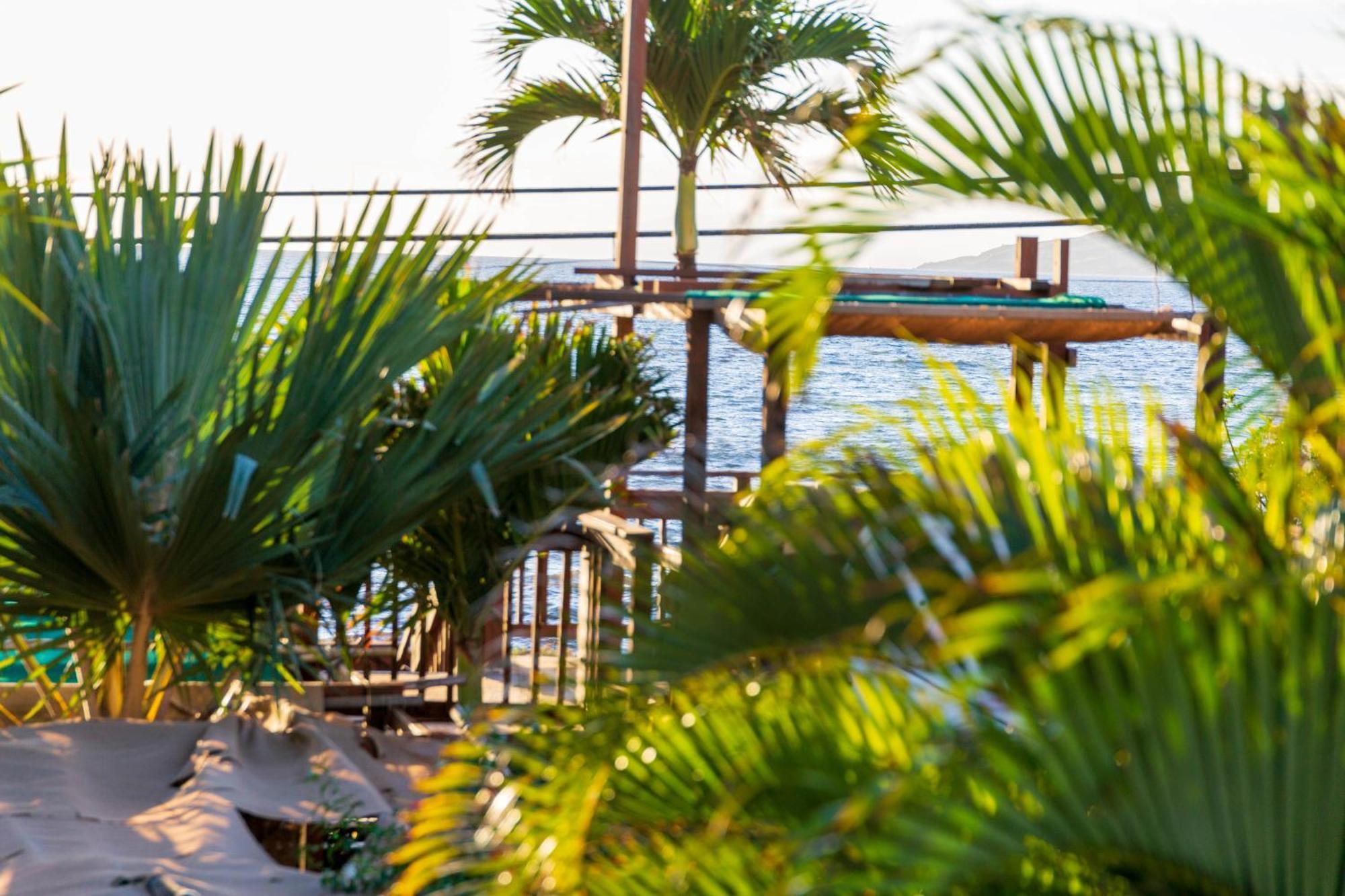 Gardenia Suite Located Across From Beach In A Boutique Property Kihei Dış mekan fotoğraf